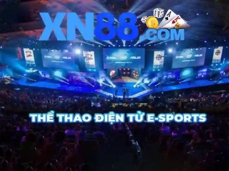 Hướng phát triển và tầm nhìn tương lai