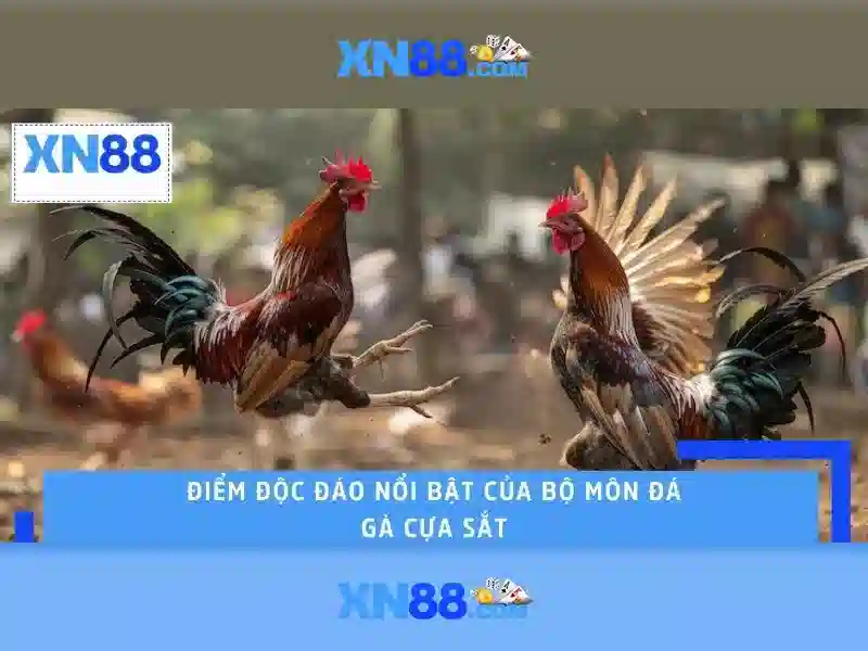 Cách dùng và lưu ý\n