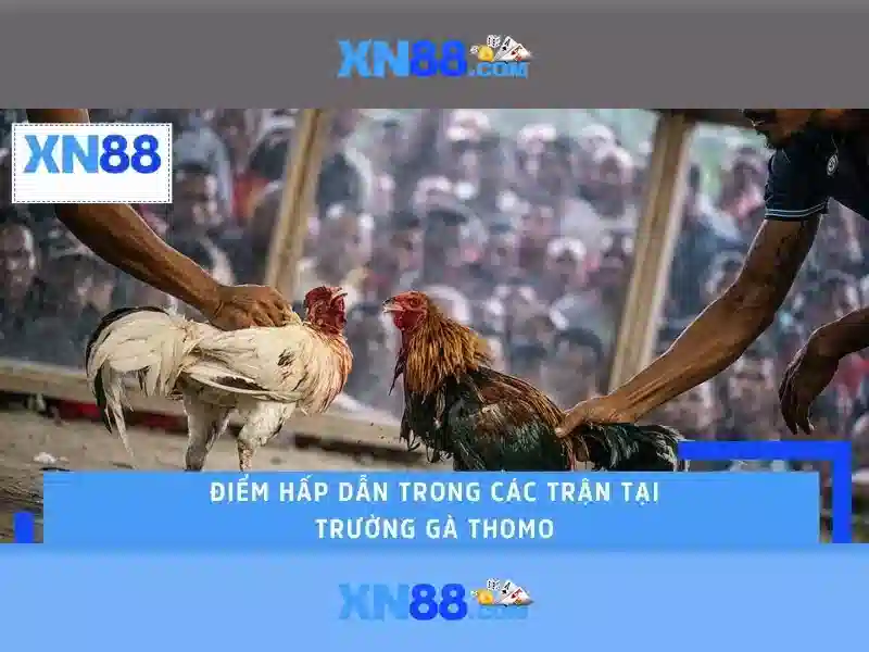 Công nghệ và nền tảng