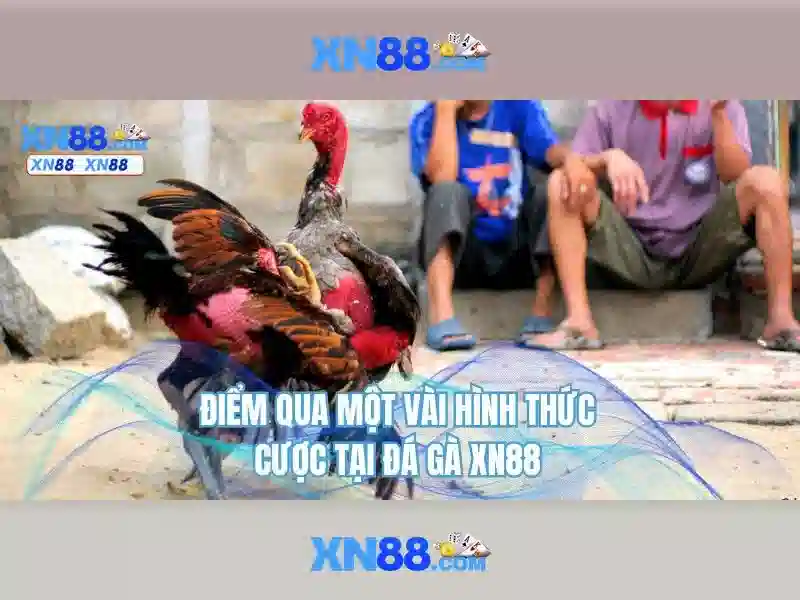 Phản hồi của người dùng