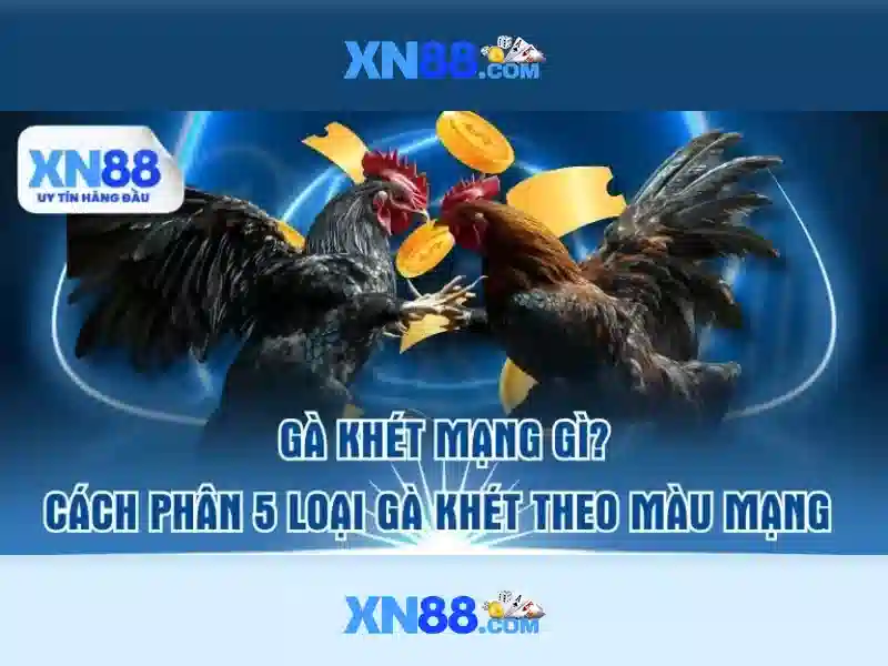 Hướng dẫn đăng ký và chơi an toàn