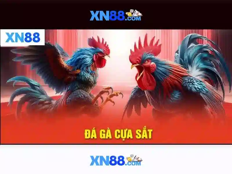 xn88: Nền tảng cá cược trực tuyến và đánh giá tổng quan