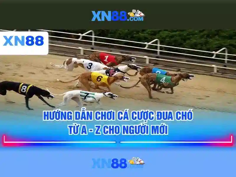 xn88: Nền tảng chơi cược trực tuyến và câu chuyện của thương hiệu