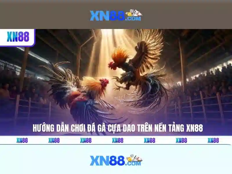 XN88: Đánh giá nền tảng cá cược trực tuyến và những điểm nổi bật