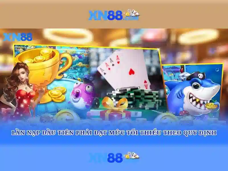 Giới thiệu về xn88