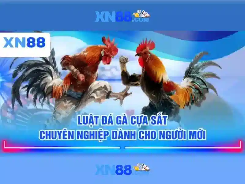 Huong dan dang ky