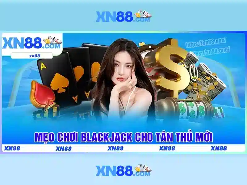 Giới thiệu về XN88\n