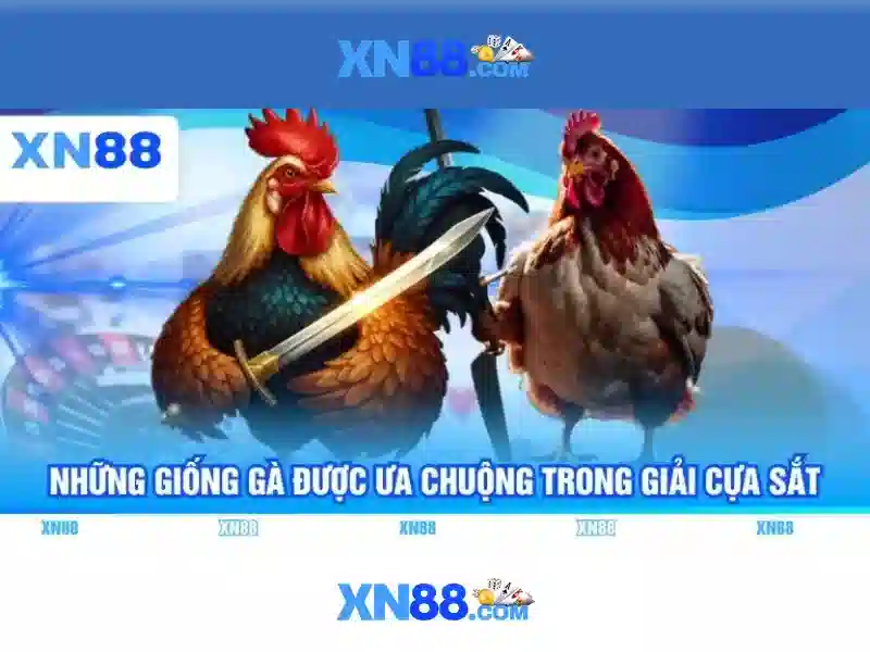XN88: Khám phá nền tảng giải trí trực tuyến