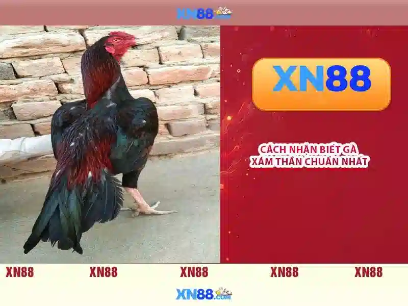 Giới thiệu xn88\n