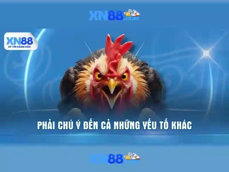 xn88 – Nền tảng cá cược trực tuyến hàng đầu