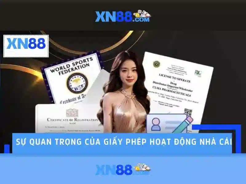 Đội ngũ hỗ trợ và chất lượng dịch vụ