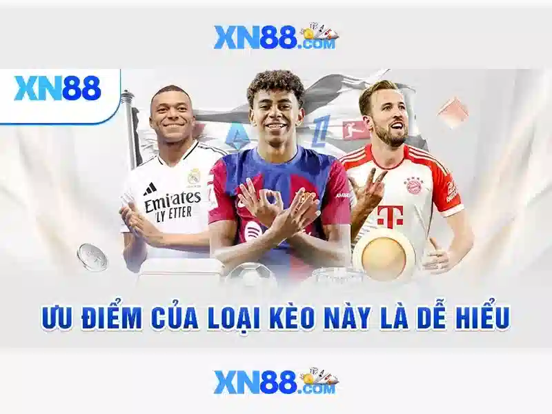 Các dịch vụ nổi bật của xn88