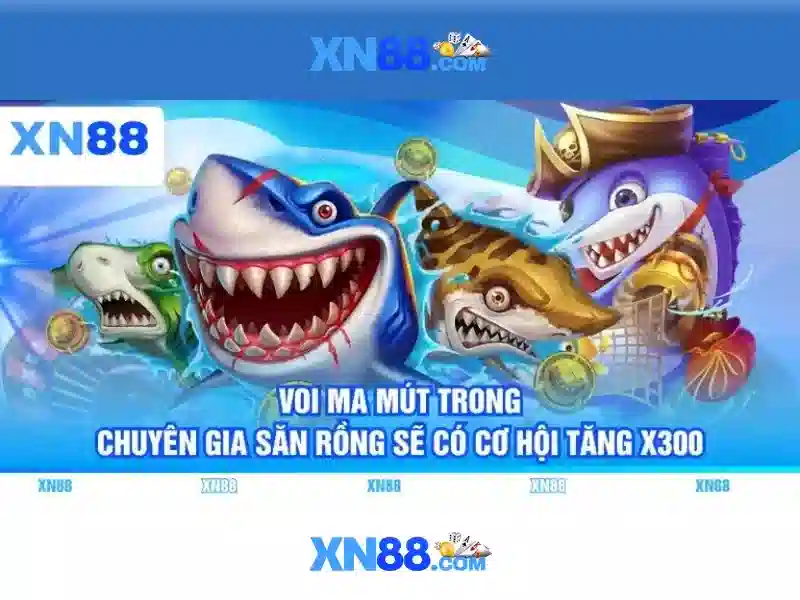 Trải nghiệm người dùng