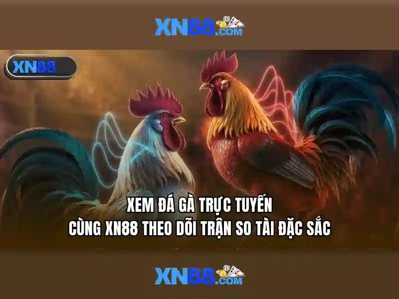 Hỗ trợ khách hàng và cộng đồng