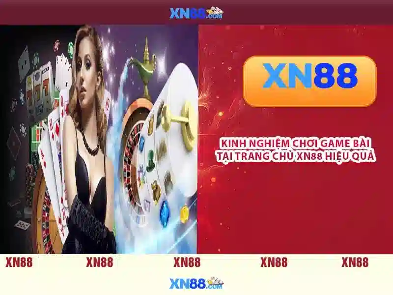 Trải nghiệm người dùng và phản hồi cộng đồng
