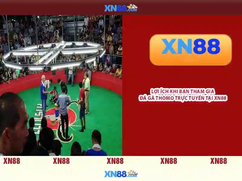 app xn88 com – Tổng quan và giá trị cốt lõi