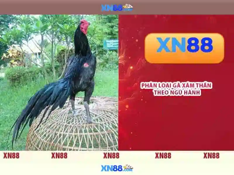 Đăng ký tài khoản