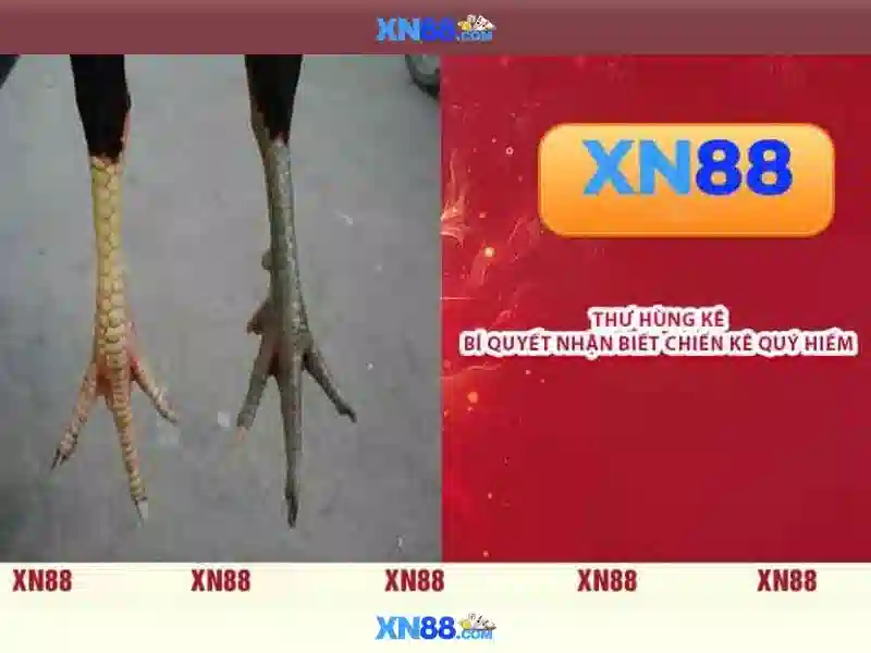 XN88 - Nền tảng trò chơi trực tuyến đáng tin cậy