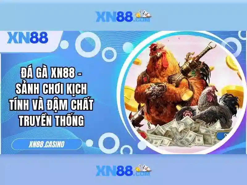 Tính năng nổi bật của XN88