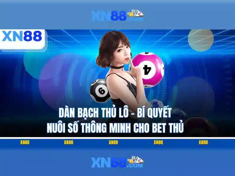 xn88: Nền tảng giải trí và cá cược trực tuyến