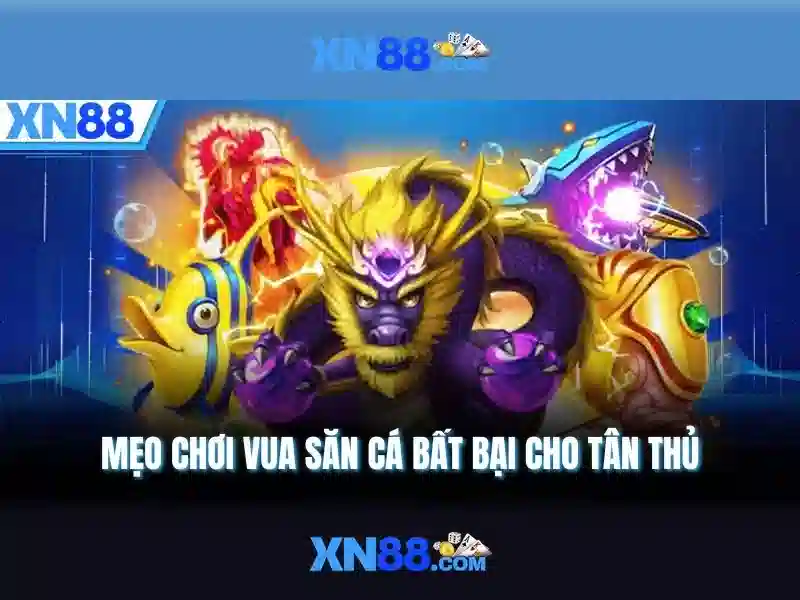 Hỗ trợ khách hàng và dịch vụ người dùng