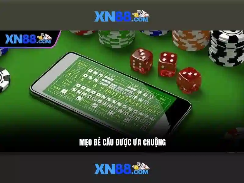 Nền tảng và trải nghiệm người dùng\n