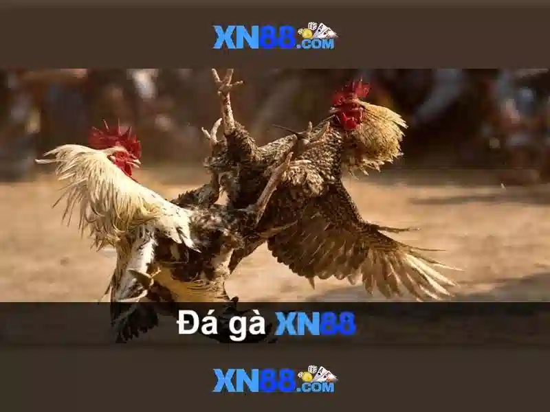 XN88: Nền tảng cá cược trực tuyến tại Việt Nam