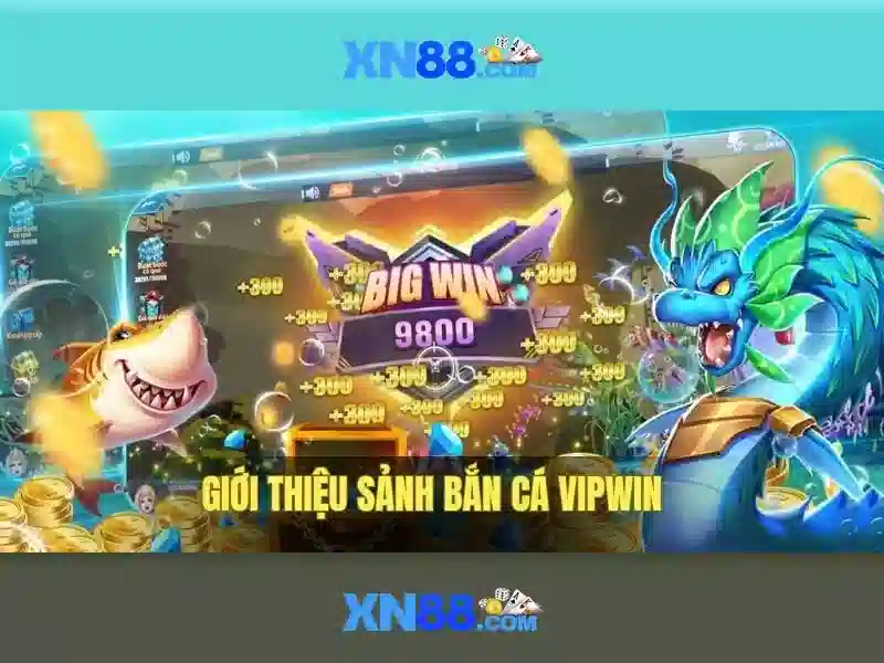 Xn88: Tổng quan về nền tảng cá cược trực tuyến