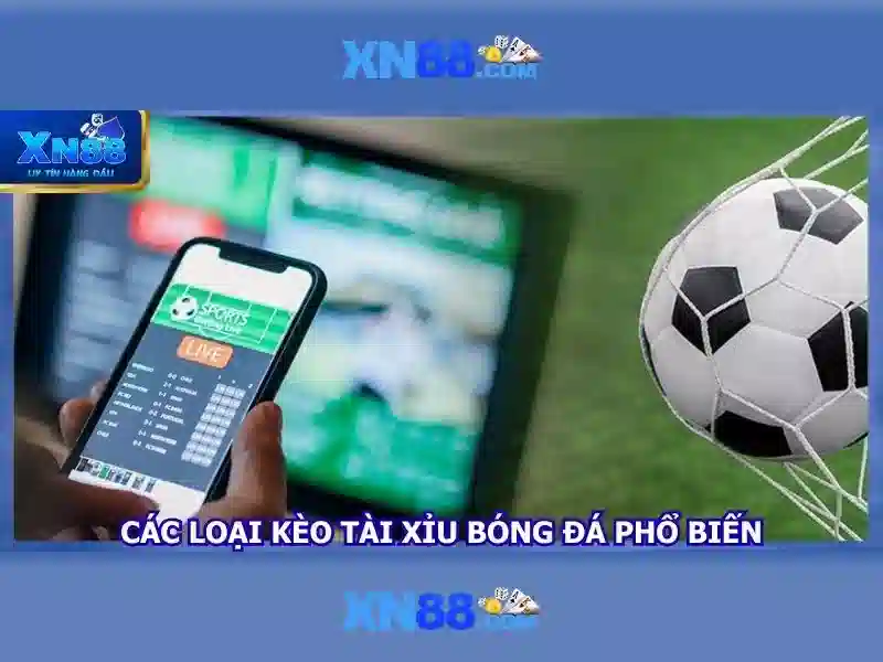 Lịch sử và mục tiêu\n