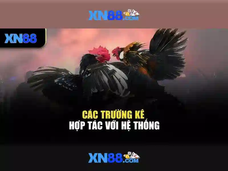 An toàn và công nghệ