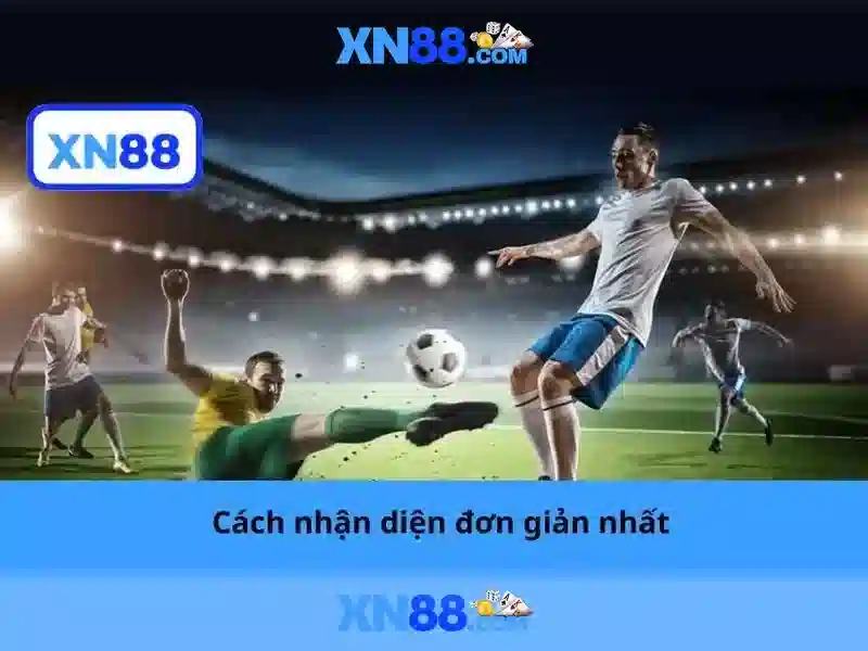Hướng dẫn tham gia và thanh toán