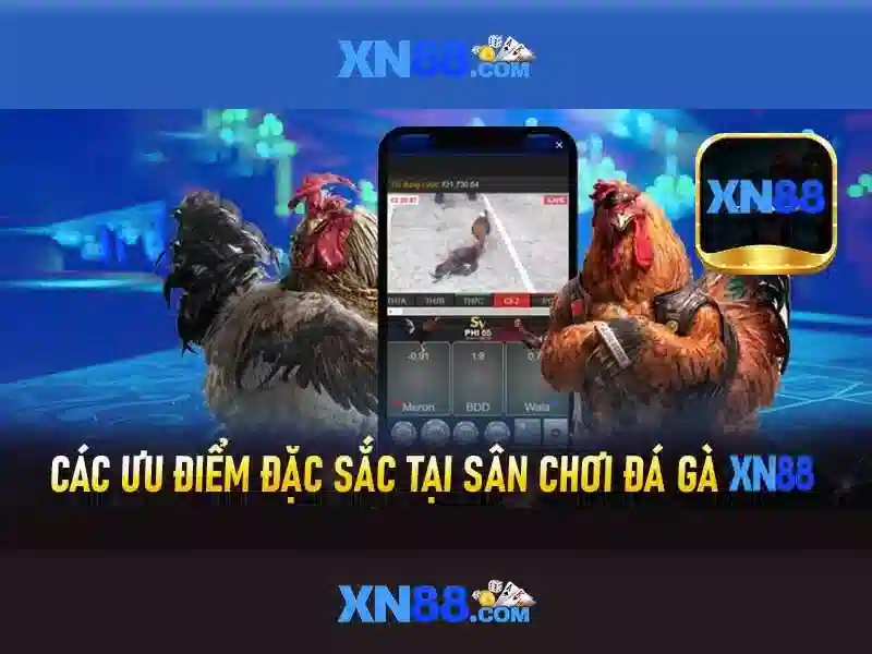xn88 – Tổng quan về nhà cái trực tuyến đáng tin cậy