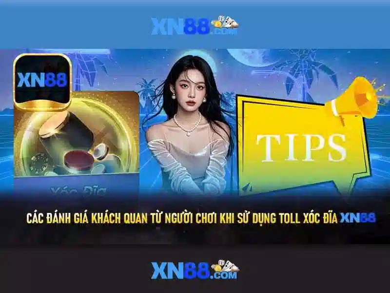Lịch sử phát triển của XN88