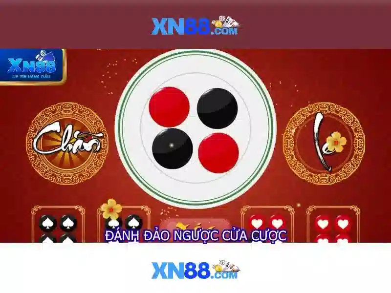 Lý do nên chọn xn88 khi tham gia giải trí trực tuyến\n