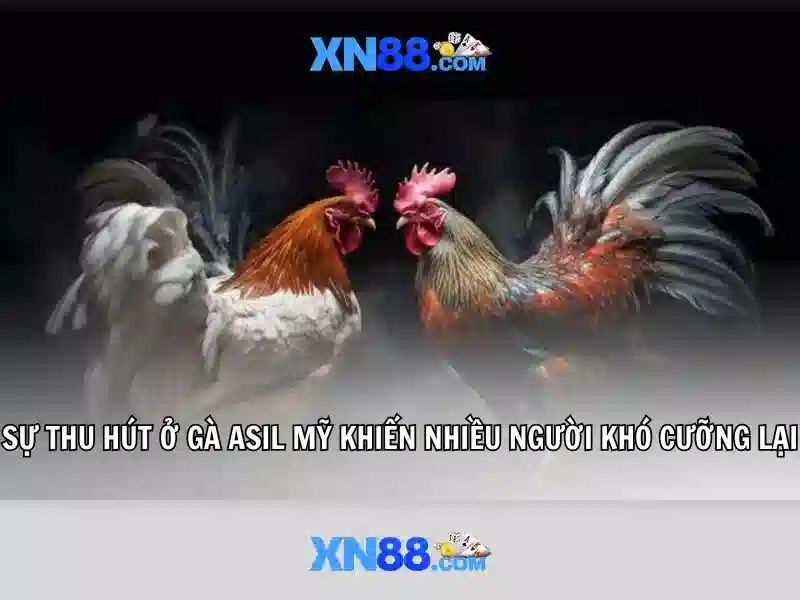 Về sự an toàn và bảo mật