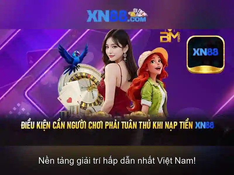 Các tính năng nổi bật