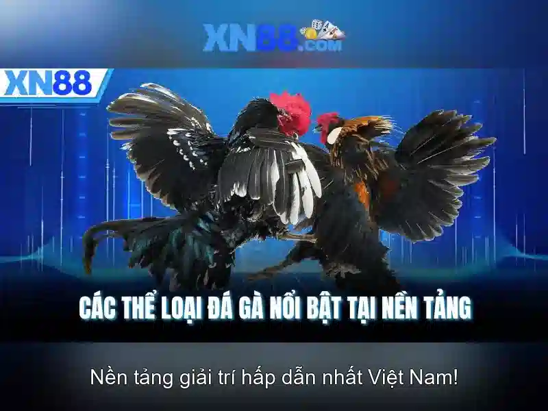 An toàn và bảo mật