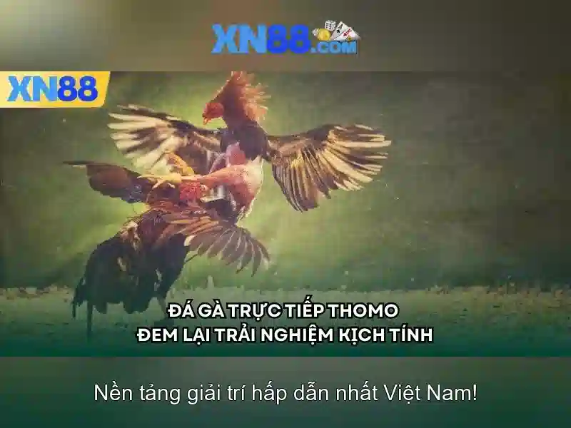  xn88 com – Tổng quan chủ đề và Giá trị cốt lõi