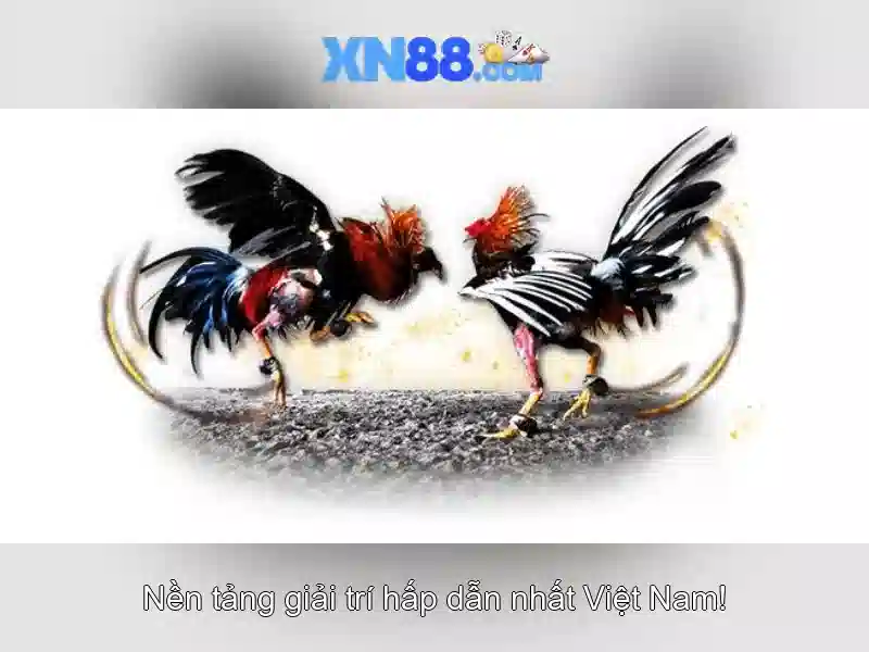 xn88 - Tổng quan về nền tảng trực tuyến