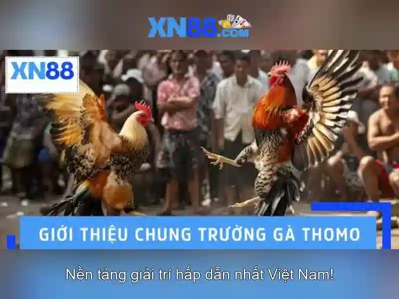 xn88: Giới thiệu và đánh giá nền tảng chơi game trực tuyến