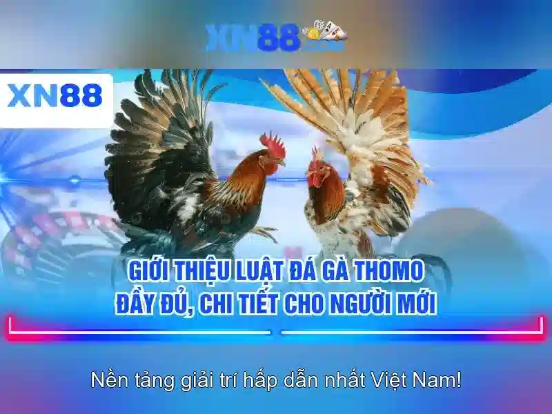 Giới thiệu về xn88\n\n