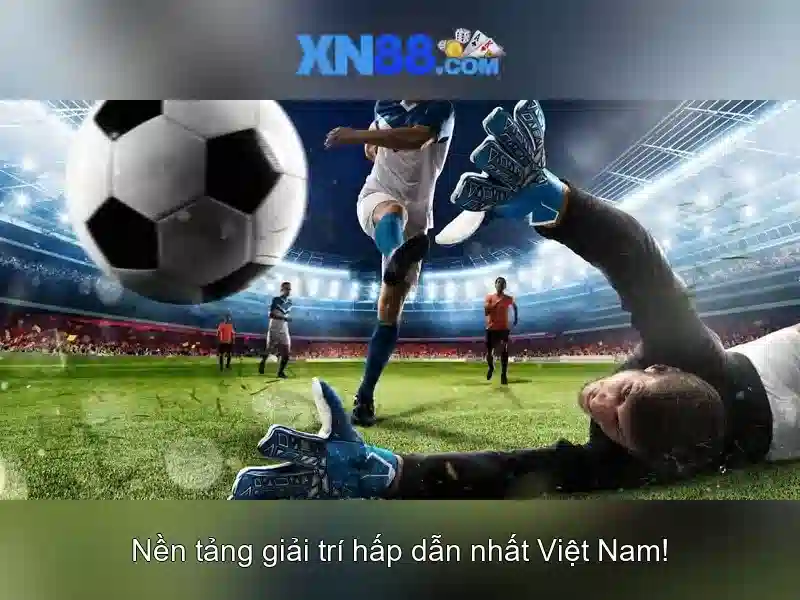 Các sản phẩm và dịch vụ