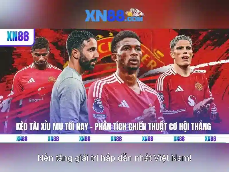 Xn88: Tổng quan về nền tảng giải trí trực tuyến và cá cược