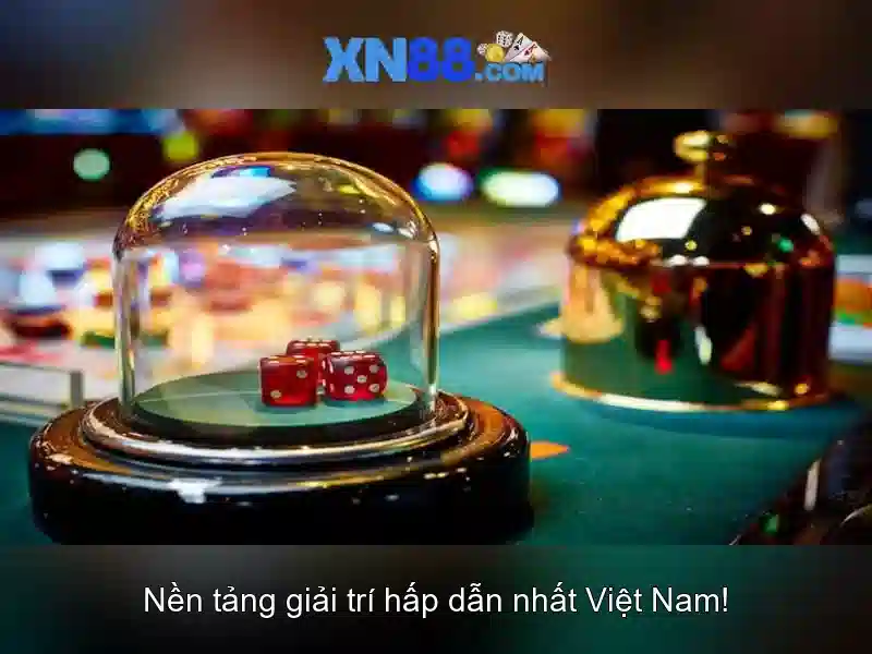 Trải nghiệm di động và ứng dụng xn88