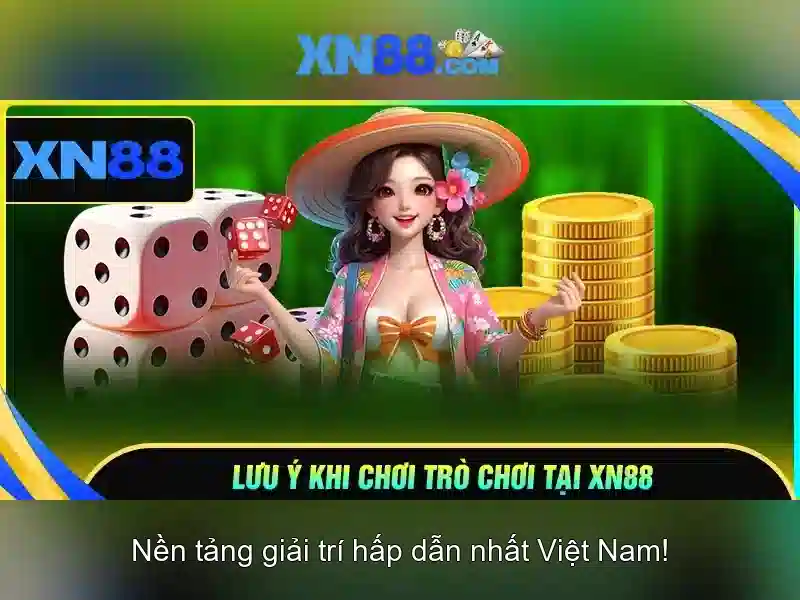 Trải nghiệm người dùng và ứng dụng