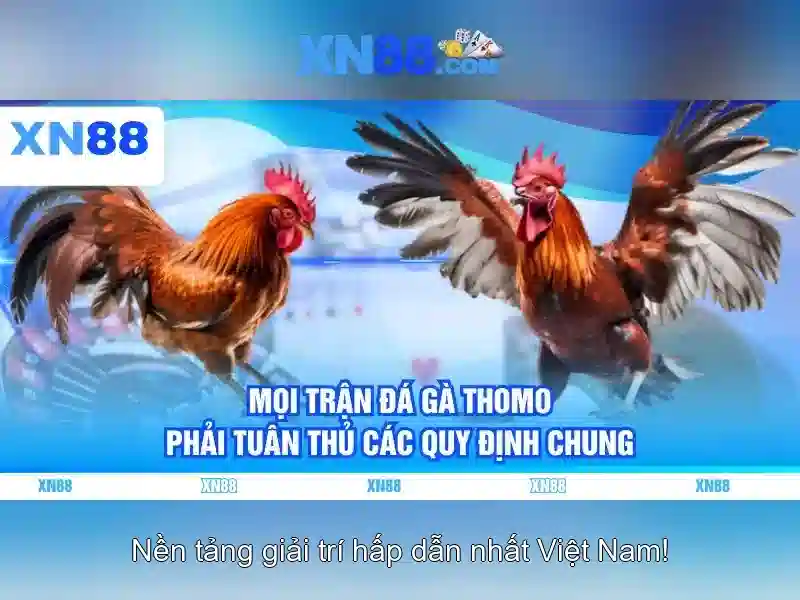 Kiến trúc và tầm nhìn\n\n