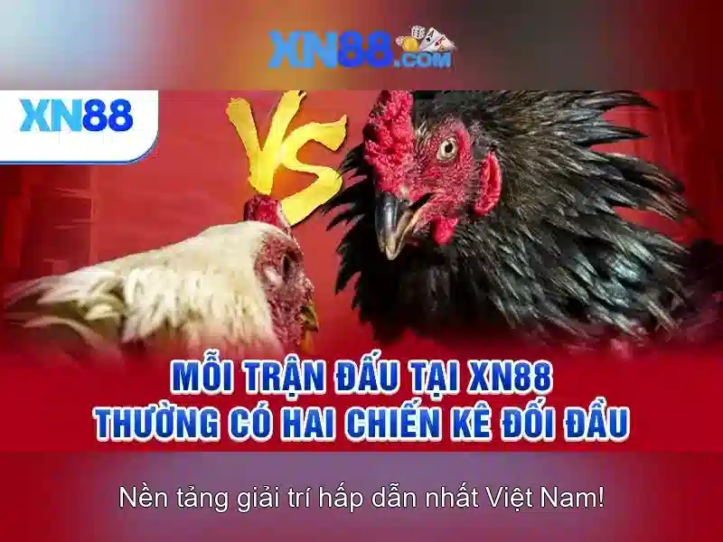 Trải nghiệm người dùng