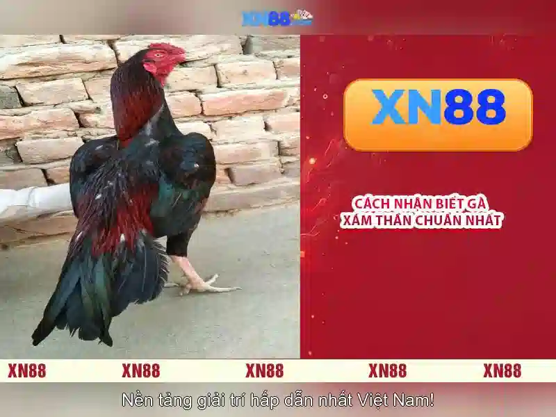 Trải nghiệm di động và truy cập ngoại tuyến