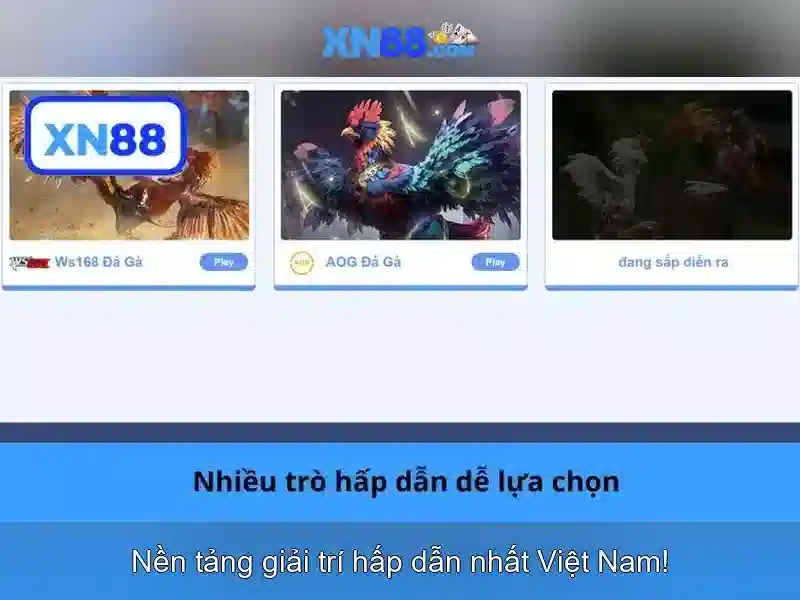 xn88 là gì và tại sao nó được nhiều người biết đến