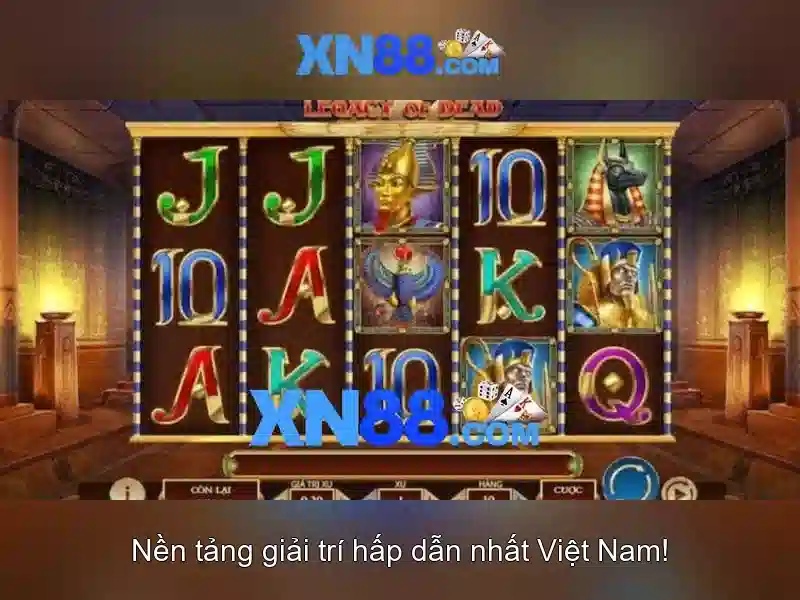 Giới thiệu về xn88